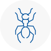 Ant Removals In Great Marlow