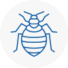 Bed Bug Extermination In Great Marlow