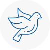 Bird Prevention Great Marlow
