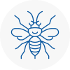 Great Marlow Hornet Nest Removals