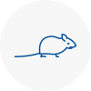Mice Exterminators In Great Marlow