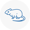 Rat Control Great Marlow
