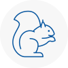 Great Marlow Rodent Removals