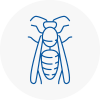 Great Marlow Wasp Nest Removal